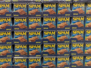 Google SPAM update.